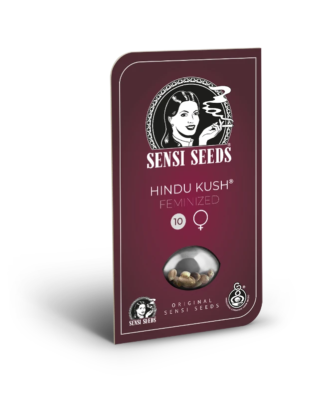 Hindu Kush Feminized Seeds - Image 2