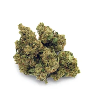 Quattro-Kush-F3 for sale