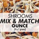1 Ounce Mix and Match Shrooms