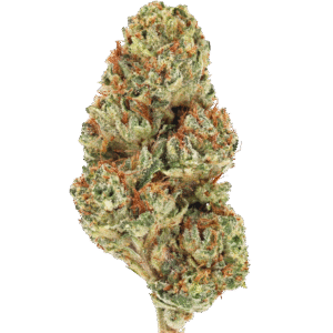 ATOMIC BOMB FOR SALE