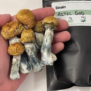 Aztec Gods Magic mushrooms