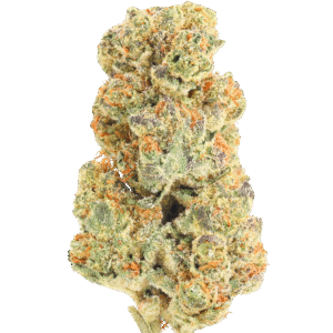 Space Rocks for sale