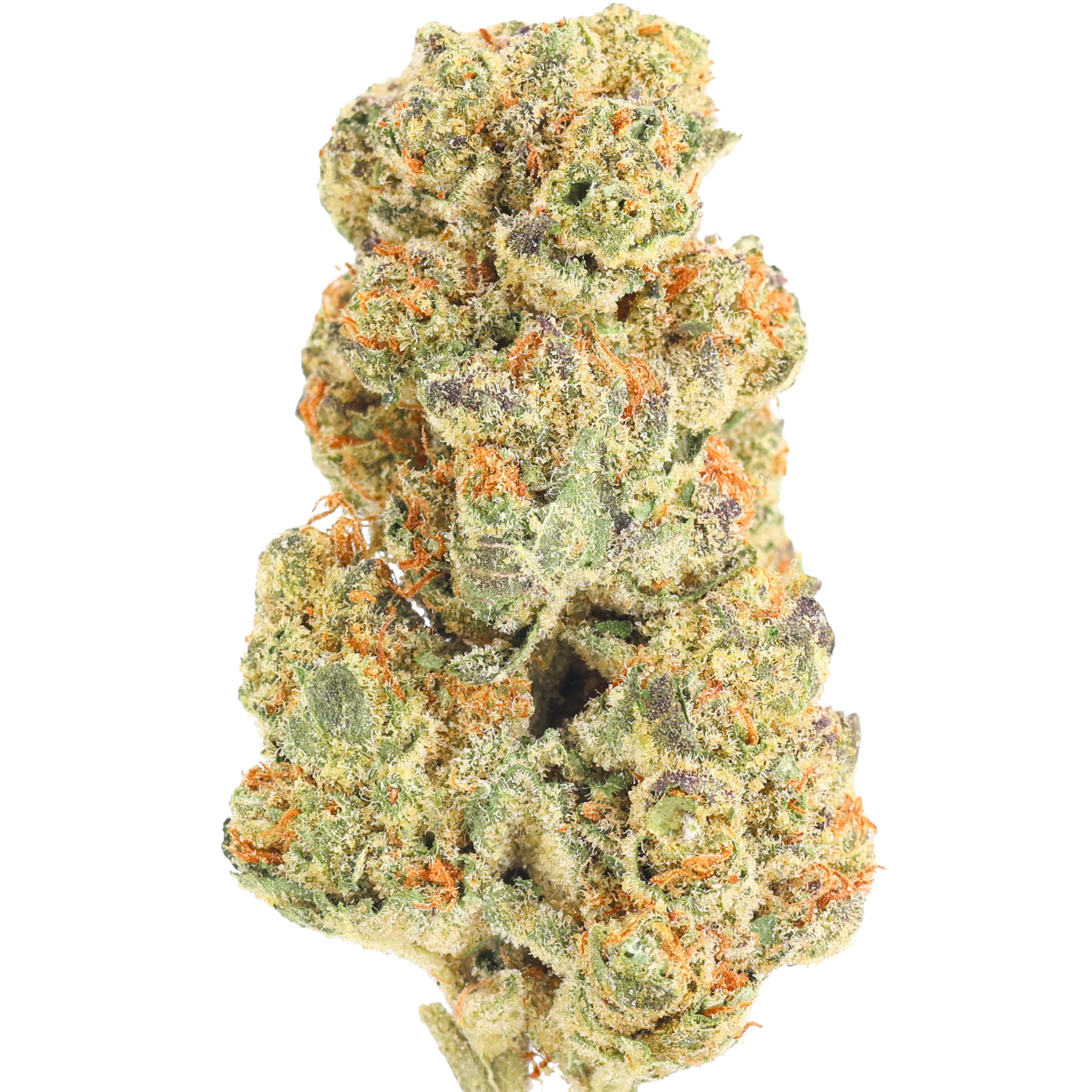 Space Rocks for sale