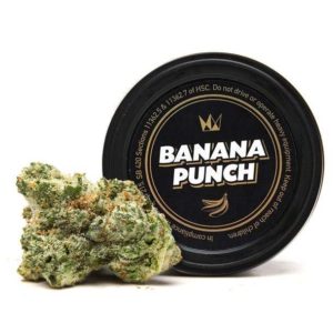 BANANA PUNCH ( West Coast Cure) 1 oz