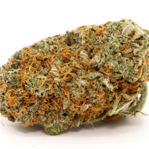 Girl Scout Cookies Hybrid Strains