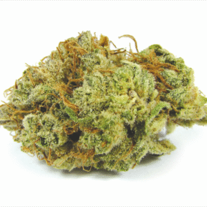 Blissful Wizard | oz