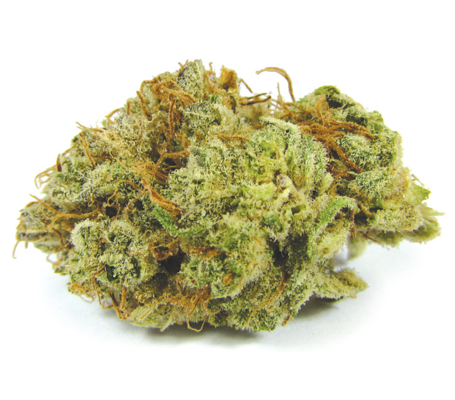 Blissful Wizard | oz