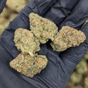 Cadillac Rainbow | oz